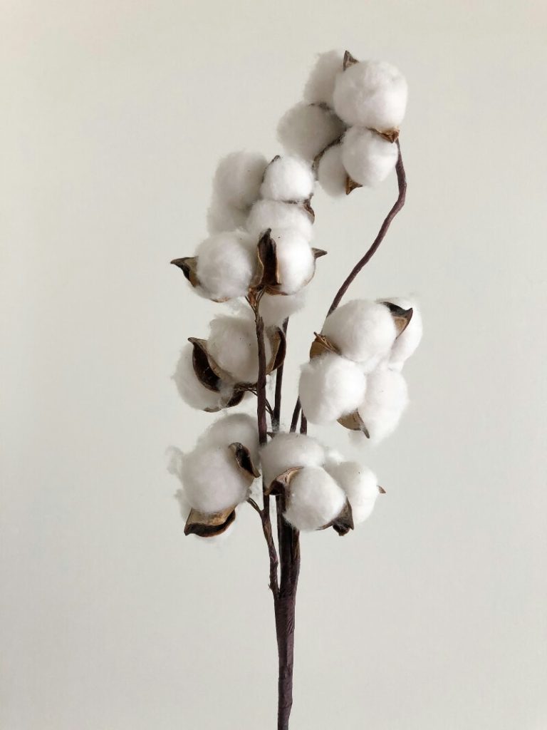 algodon organico sostenible
