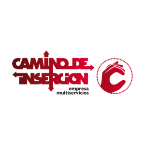 Camino de Inserción